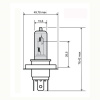 RMS Žiarovka RMS FLOSSER 246510181 modrá hs1 12V 35/35W