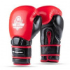 Boxerské rukavice DBX BUSHIDO Warrior RED 10oz.