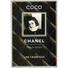 Coco Chanel - Lisa Chaneyová