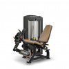 Seated Leg Extension Typ: Leg Extension Acrylic 118 kg