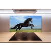 Panel do kuchyne Čierny kôň na lúke 100x50 cm