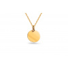 iZlato Forever Prívesok okrúhla platnička zo žltého zlata, 9K IZ15167BHR