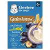 GERBER Nemliečna kaša pšenično-ovsená slivka 200 g