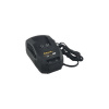 Riwall PRO RAC 220 nabíječka 20 V (rychlá) RACC00080