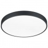 LED stropné svietidlo TRIO Waco, 49 cm (TR 627415032) čierne