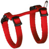 Nylonový postroj pre mačiatka jednofarebný 19-31cm/8mm TRIXIE