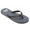 Quiksilver Molokai Core - SYJ1/Grey 1 43