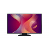 EIZO MT LCD LED 27