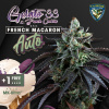 T.H.Seeds™ Cannabis Seeds Auto French Macaron, rôzne balenie, feminizované 6+1 pcs