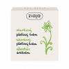 Ziaja Cucumber Uhorkový Krém 50 ml