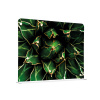 Jansen Display Potištěná látková dělící stěna 200-150 Cactus Zelená, 1984 x 1502 mm