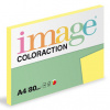 Florida Coloraction A4 80 g/m2 100 listů