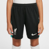 Nike Liverpool Away Shorts 2024 2025 Juniors Teal 13 rokov