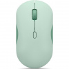 Lenovo 350 Bluetooth Silent Mouse (Breeze Moss) GY51S61913