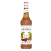 Monin Chataigne - Gaštan, 0.7 L (čistá fľaša)