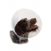 KRUUSE Límec ochranný BUSTER plastový Classic Collar 35cm
