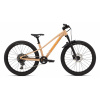 Specialized Riprock Comp 24 Gloss Photon Tint Over Flake Silver / Orange Zest Veľkosť: 24
