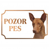 Kanársky podenko - Kovová tabuľka POZOR PES