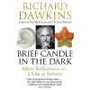 Brief Candle in the Dark