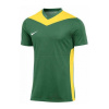 Tričko Nike Dri-FIT Park Derby IV M FD7430-303