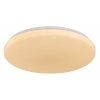 Rabalux DANNY2 LED stropné svietidlo 71444