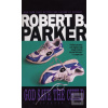 God Save the Child (Robert B. Parker)