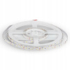 LED pásik 12V Studený 6500K 4,2W IP20 5m SMD3528