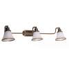 Nástenná lampa Rabalux - Bodové svietidlo 3xE14/40W/230V (64600)