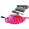 KIT 300 LED pásy svetla IP65 RAST rast rastlín 3m (KIT 300 LED pásy svetla IP65 RAST rast rastlín 3m)