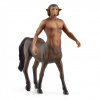 Figúrka Schleich Harry Potter - Firenze 13986 (4059433713151)