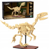 STAVEBNICA CADA SÚPRAVA SKELET MODEL DINO VELOCIRAPTOR DINOSAURIE FOSÍLIE 256
