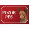 Kanársky podenko - Kovová tabuľka POZOR PES