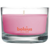 Sviečka bolsius Jar True Scents 50/80 mm, magnólia