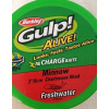 Gulp ! Alive Minnow 3in / 8cm / 40ks