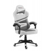 Huzaro hráčska stolička Force 4.4-white-mesh, profesionálna herná stolička, oceľ, látkový materiál, podhlavník, podhlavník, sivobiela.
