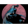 Fototapeta na stenu - FT4591 - Batman 350x250cm - Vlies 110gr