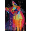 Diamantové maľovanie Norimpex 40x30 cm Farebná mačka 7D
