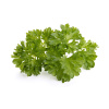 Click and Grow náplň pre smart kvetináče a farmy - Petržlen 3ks v balení