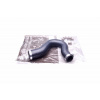 ESEN SKV GERMANY Hadica plniaceho vzduchu, hadica INTERCOOLER 8200532240 43SKV098