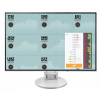 LCD monitor Eizo EV2456-WT 24,1