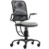 kancelařská židle SpinaliS ERGONOMIC šedá R711