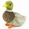 Rappa Plyšový pták kachna divoká 13 cm