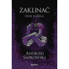 Zaklínač VII.: Pani jazera - Andrzej Sapkowski, Brian Terrero (ilustrátor), Jakub Šimjak (ilustrátor)