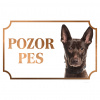 Kanársky podenko - Kovová tabuľka POZOR PES