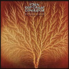 2CD/DVD Van Der Graaf Generator: Still Life DLX