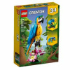 Lego LEGO CREATOR 31136 EXOTICKÝ PAPAGÁJ