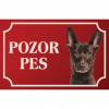 Kanársky podenko - Kovová tabuľka POZOR PES