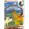 Lví král Simba - disk 8 - DVD
