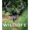 Wildlife - život zveri vo voľnej prírode - Bárta a kolektív Vladimír