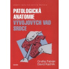 Patologická antomie vývojových vad srdce - Ondřej Fabián, David Kachlík
